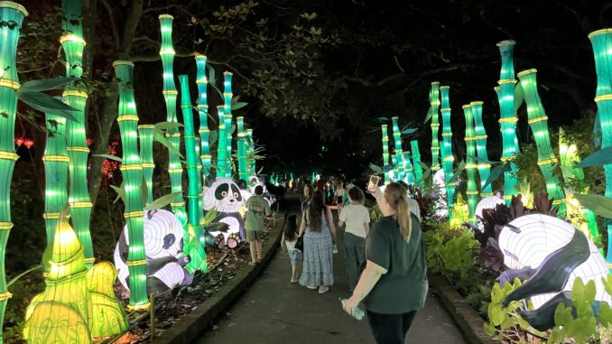 Lantern Festival