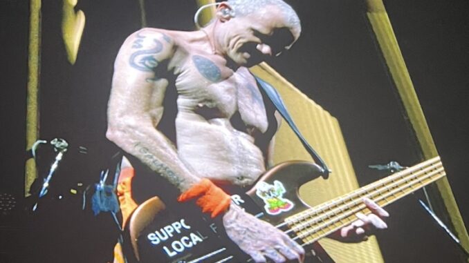 Flea